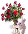 Send a Dozen Red Roses with a Teddy Bear