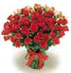 Send 100 Roses